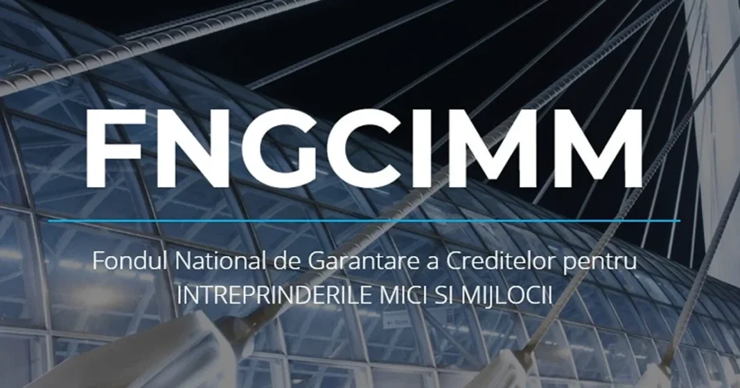 (P) FNGCIMM extinde parteneriatele regionale pentru sprijinirea IMM-urilor din Constanța, Prahova, Argeș și Brașov
