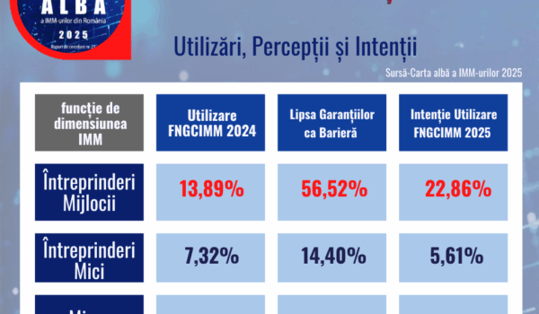 (P) FNGCIMM GARANTEAZĂ UN PARTENERIAT STRATEGIC PENTRU AFACERILE  DE TOATE TIPURILE.
