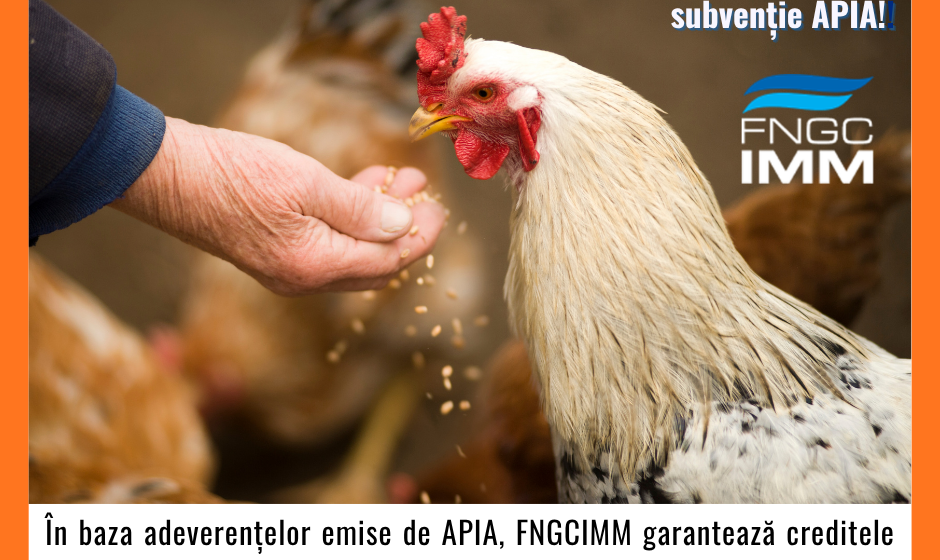 (P) FNGCIMM continuă și în 2026 sprijinul pentru fermieri: Acces mai ușor la credite garantate!